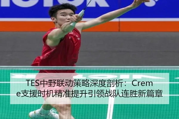 TES中野联动策略深度剖析：Creme支援时机精准提升引领战队连胜新篇章