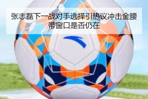 张志磊下一战对手选择引热议冲击金腰带窗口是否仍在